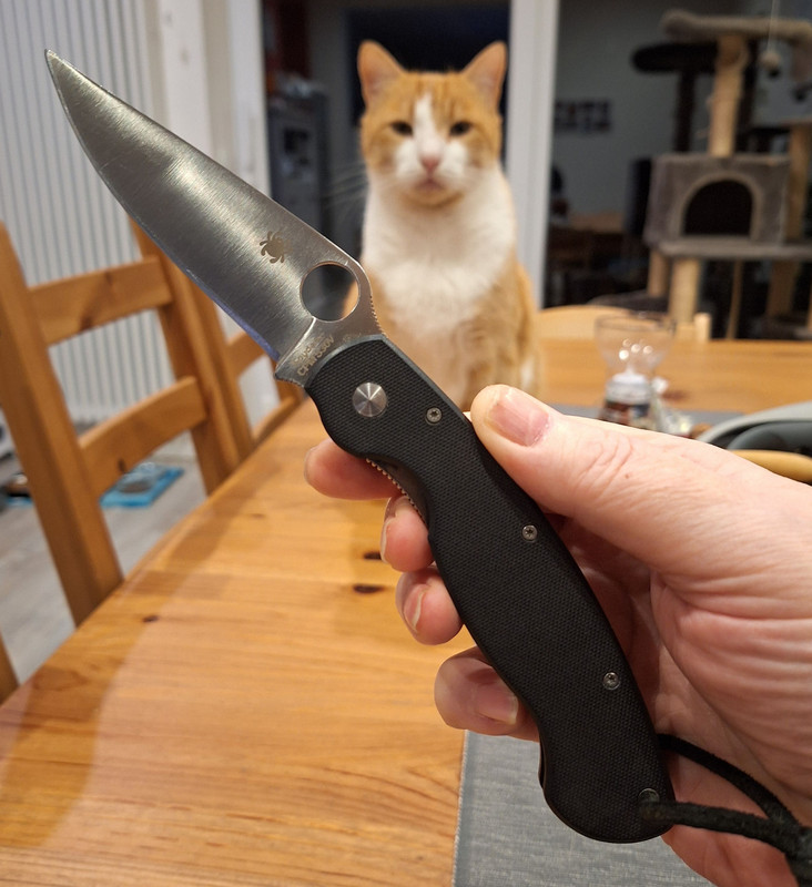 spyder.jpg