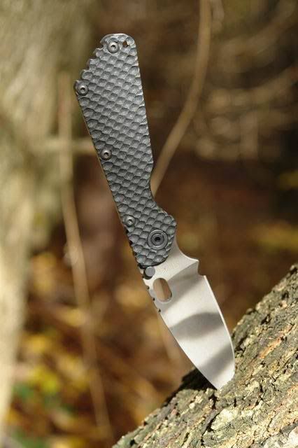 Strider_SMF_GG_G10_001.jpg