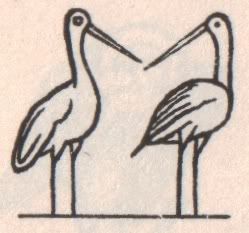 KissingCranes.jpg