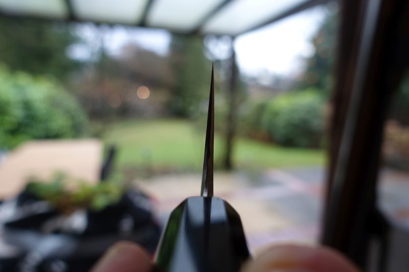 42753109ei.jpg