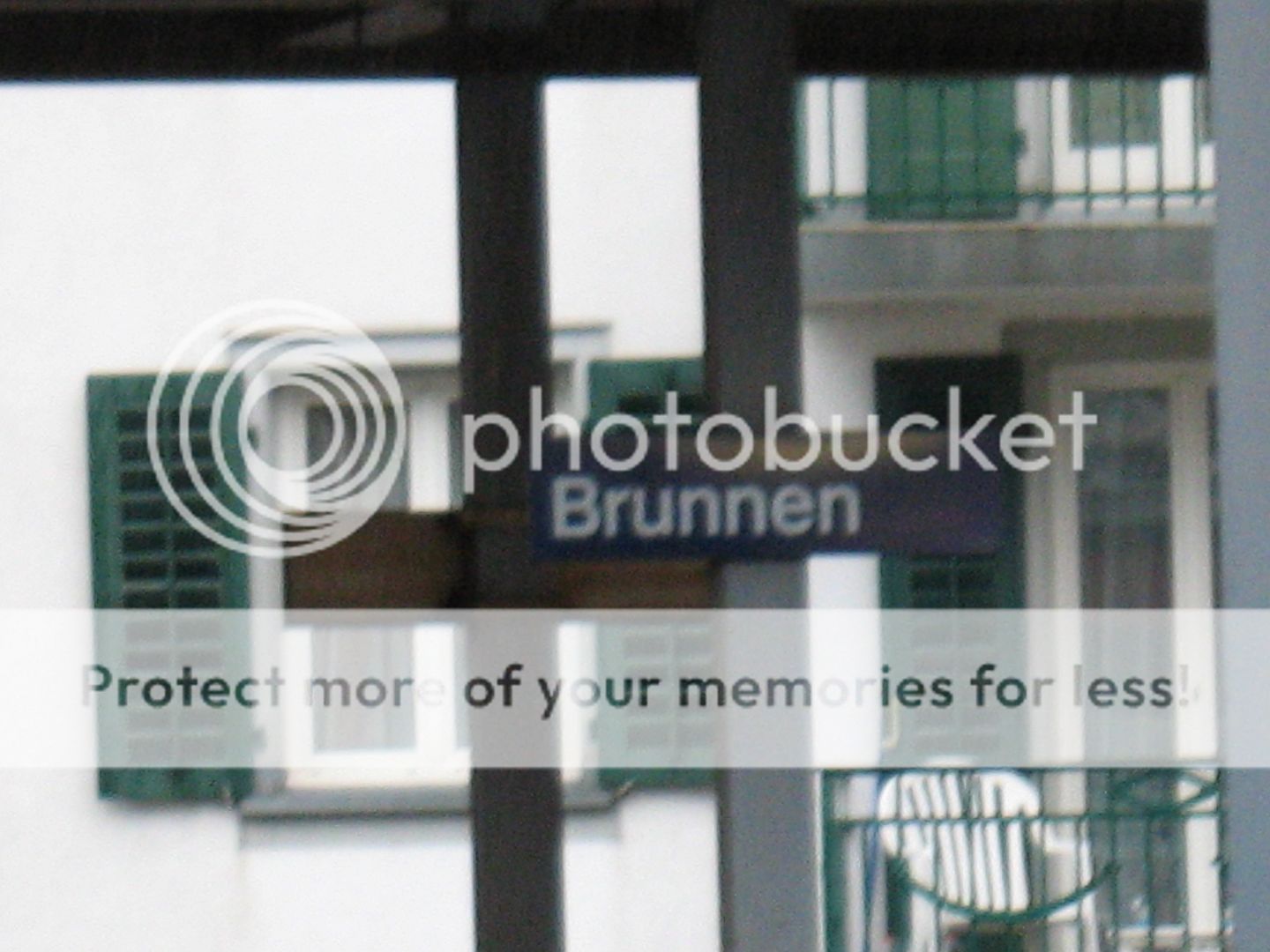 IMG_7924.jpg