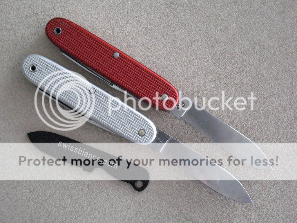 redandsilveraloxsoldierbackside.jpg