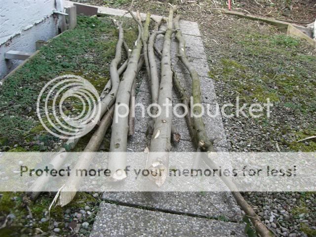 CIMG2538Small.jpg