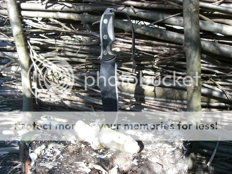 CIMG2576Medium.jpg