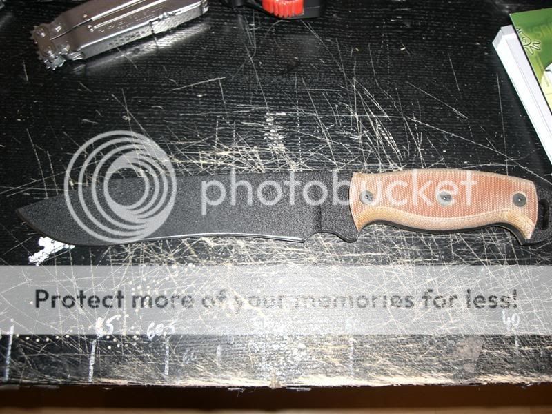 CIMG2600Medium.jpg