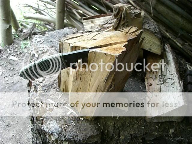 CIMG3188Small.jpg