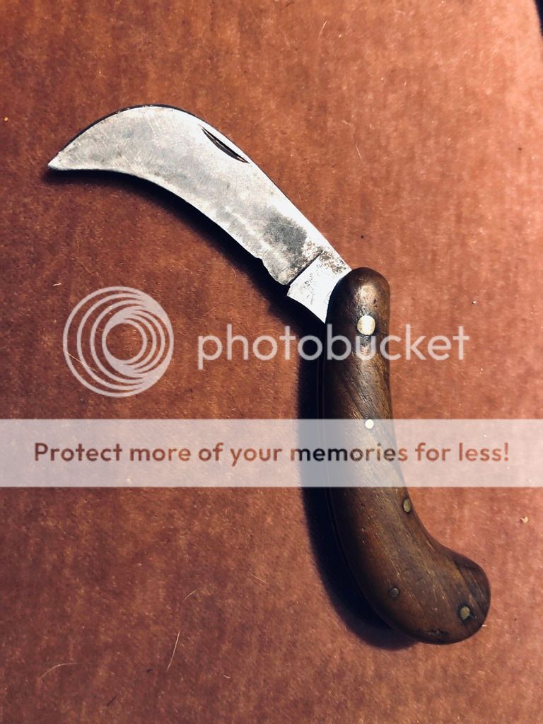 4E601226-225F-40F0-B3E3-53B89BD8BA46_zpsaeujwabq.jpg