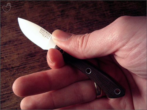 br_scalpel_01.jpg