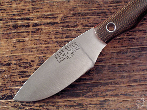 br_scalpel_04.jpg
