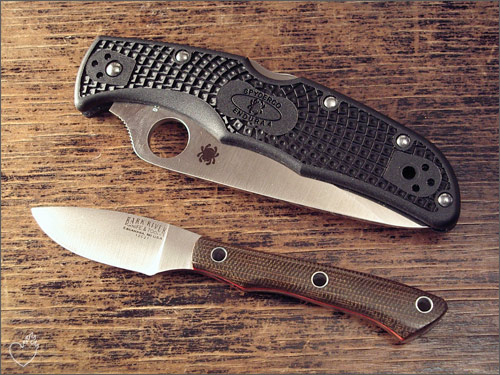 br_scalpel_06.jpg